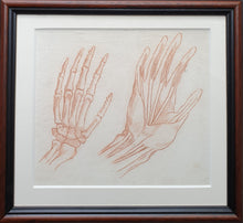 Load image into Gallery viewer, 18th.Century Red Chalk Anatomical Drawing Study Of The Structure Of The Hand
