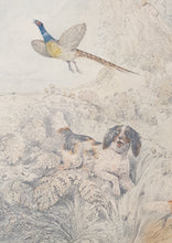 Load image into Gallery viewer, Henry Thomas Alken Pencil And Watercolour Drawing A Sportsman With His Dogs Circa.1820
